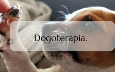 Dogoterapia.